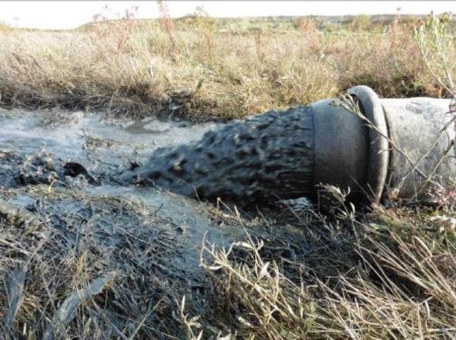 Harbour Dredging and Salt Marsh Restoration programme ©  Exo Environmental Ltd